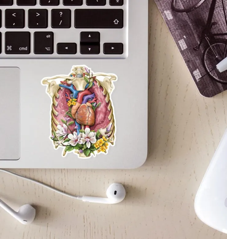 Sticker d'anatomie cage thoracique - Floral-Codex Anatomicus Online
