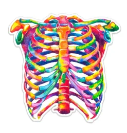 Sticker d'anatomie cage thoracique - Aquarelle-Codex Anatomicus New