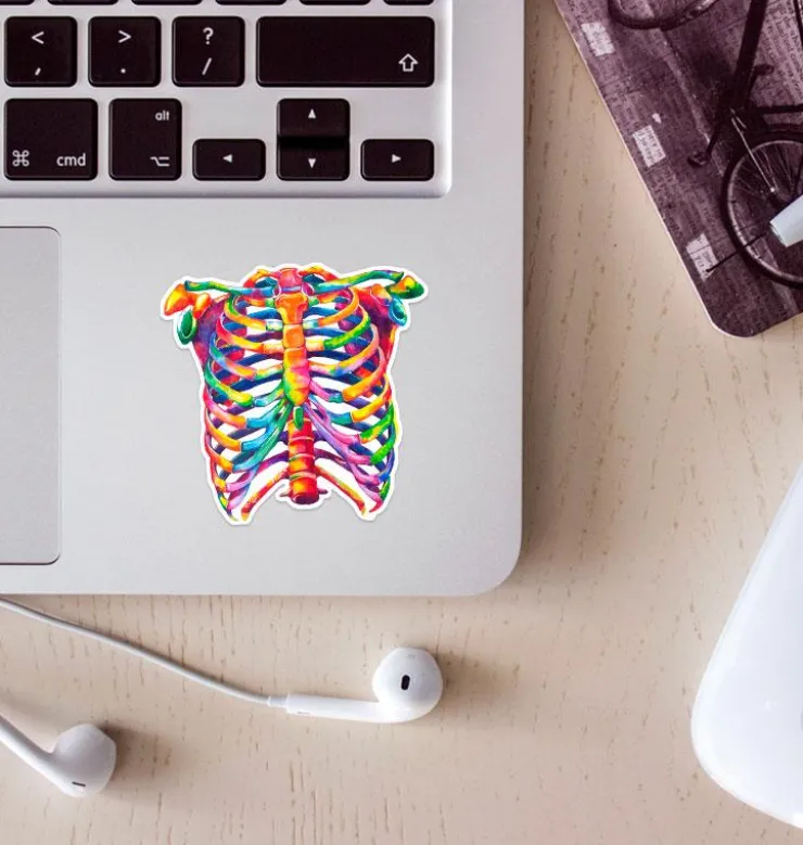 Sticker d'anatomie cage thoracique - Aquarelle-Codex Anatomicus New