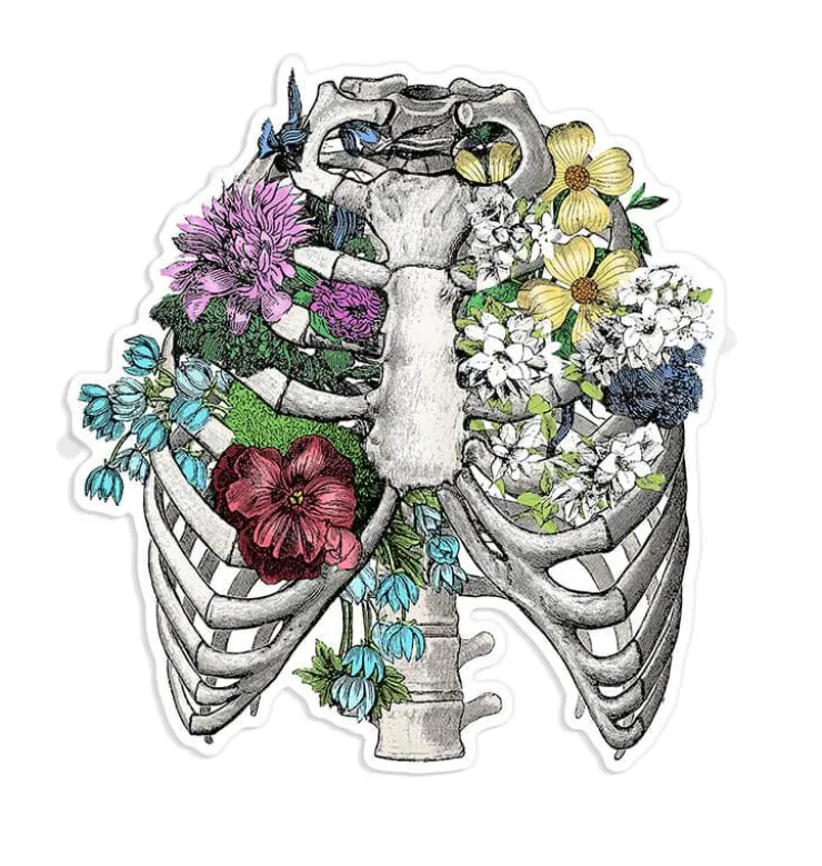 Sticker d'anatomie cage thoracique III - Floral-Codex Anatomicus New