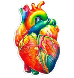 Sticker d'anatomie cardiaque II - Aquarelle-Codex Anatomicus