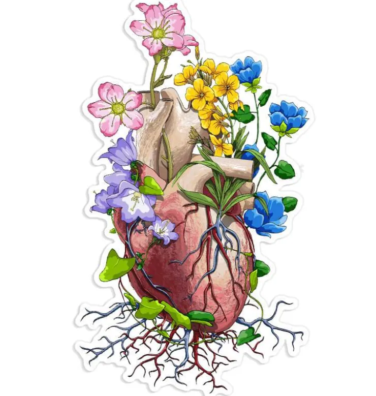 Sticker d'anatomie cardiaque III - Floral-Codex Anatomicus New