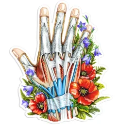 Sticker d'anatomie cardiaque - Floral-Codex Anatomicus Clearance