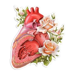 Sticker d'anatomie cardiaque - Floral-Codex Anatomicus Hot