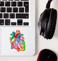 Sticker d'anatomie cardiaque - Aquarelle-Codex Anatomicus Best