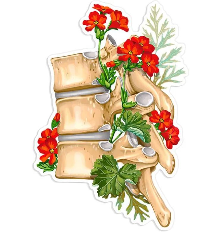 Sticker d'anatomie de la colonne vertébrale II - Floral-Codex Anatomicus Sale