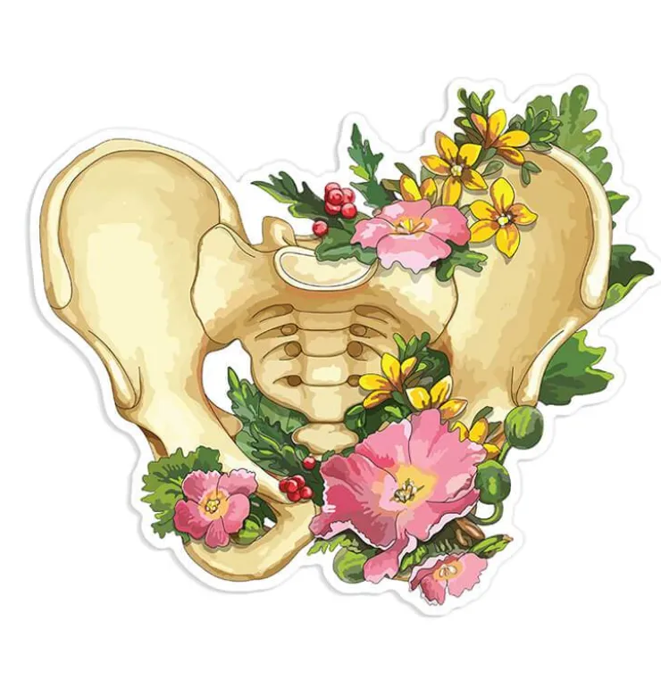 Sticker d'anatomie de la colonne vertébrale - Floral-Codex Anatomicus Best