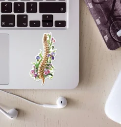 Sticker d'anatomie de la colonne vertébrale - Floral-Codex Anatomicus Online