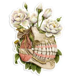 Sticker d'anatomie de la mâchoire - Floral-Codex Anatomicus