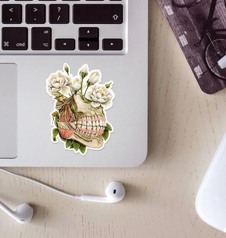 Sticker d'anatomie de la mâchoire - Floral-Codex Anatomicus