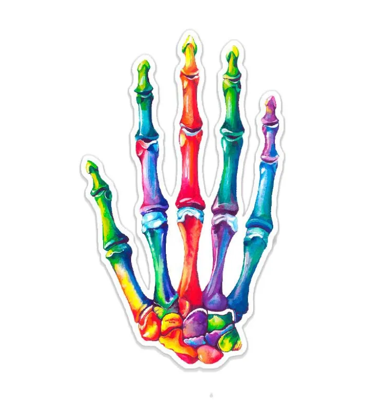 Sticker d'anatomie de la main - Aquarelle-Codex Anatomicus Discount