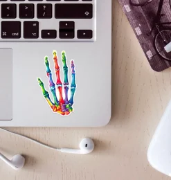 Sticker d'anatomie de la main - Aquarelle-Codex Anatomicus Discount