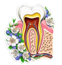 Sticker d'anatomie de la mâchoire - Floral-Codex Anatomicus Online