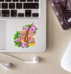 Sticker d'anatomie de la peau - Floral-Codex Anatomicus Online