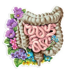 Sticker d'anatomie de l'estomac - Floral-Codex Anatomicus Sale