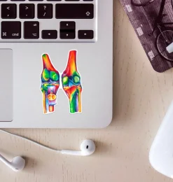 Sticker d'anatomie des genoux - Aquarelle-Codex Anatomicus Outlet