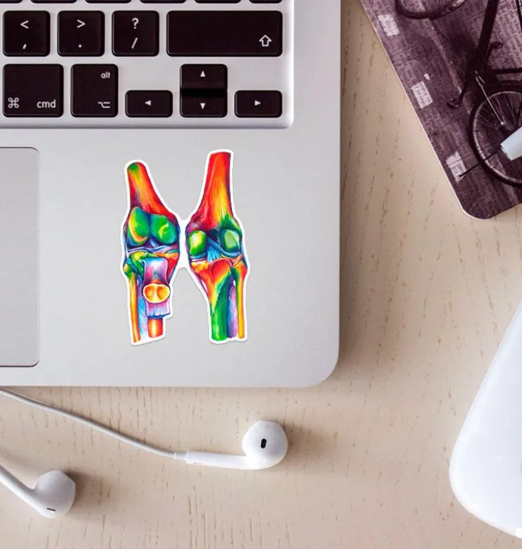 Sticker d'anatomie des genoux - Aquarelle-Codex Anatomicus Outlet