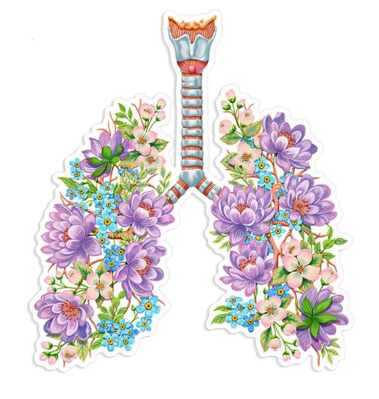 Sticker d'anatomie des poumons - Floral-Codex Anatomicus Hot