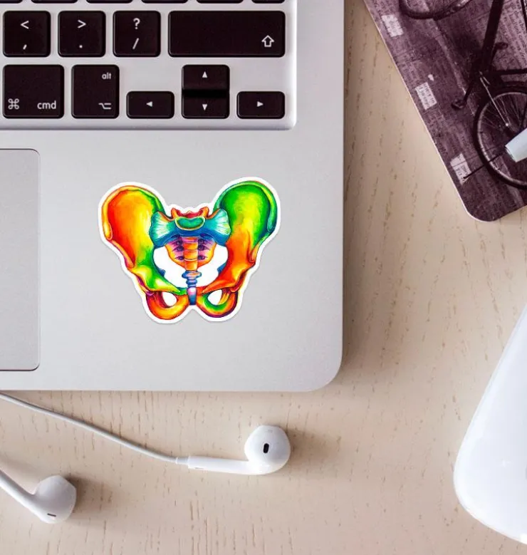 Sticker d'anatomie du bassin - Aquarelle-Codex Anatomicus