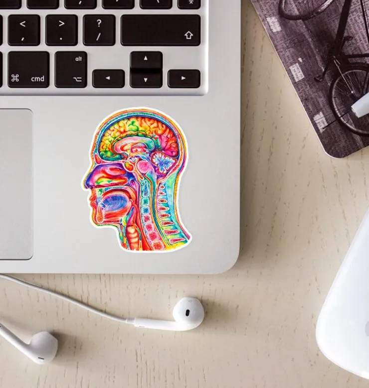 Sticker d'anatomie du cerveau III - Aquarelle-Codex Anatomicus Discount