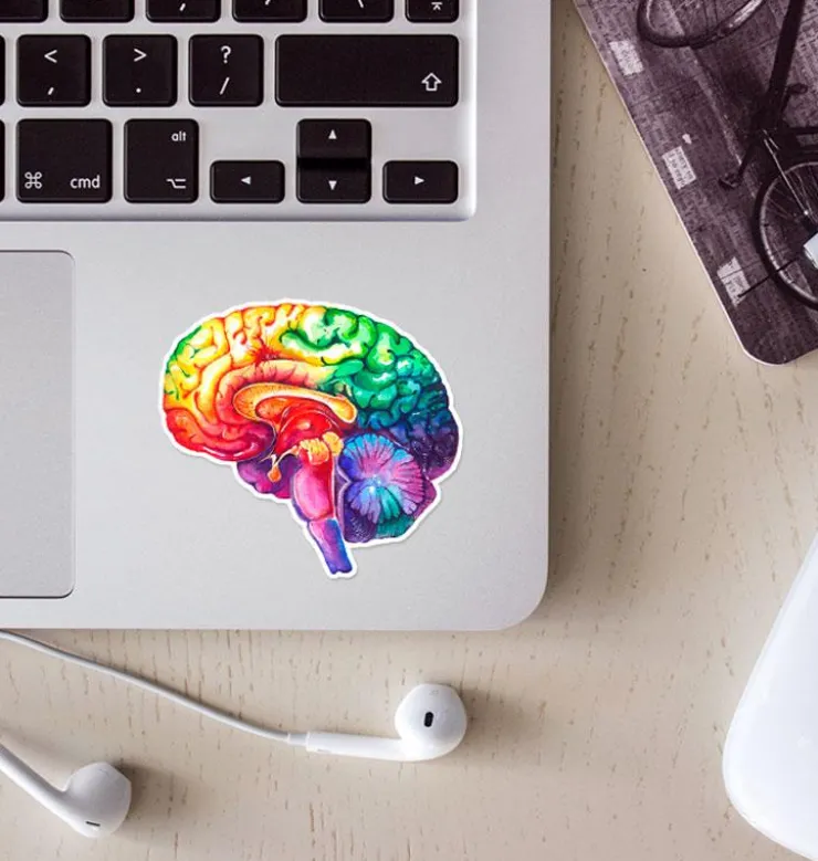 Sticker d'anatomie du cerveau - Aquarelle-Codex Anatomicus New