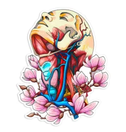 Sticker d'anatomie du cou - Floral-Codex Anatomicus Online