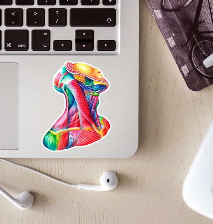 Sticker d'anatomie du cou - Aquarelle-Codex Anatomicus Clearance