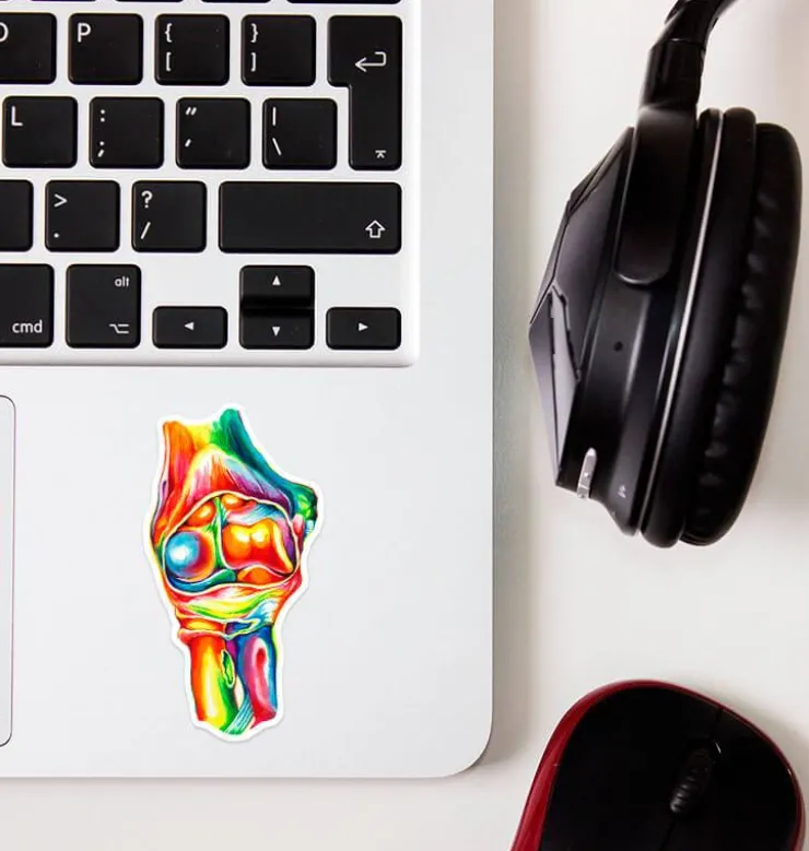 Sticker d'anatomie du coude - Aquarelle-Codex Anatomicus Outlet