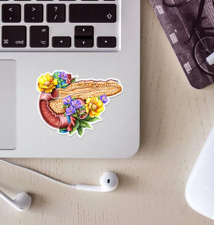 Sticker d'anatomie du pancréas - Floral-Codex Anatomicus New