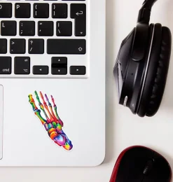 Sticker d'anatomie du pied - Aquarelle-Codex Anatomicus
