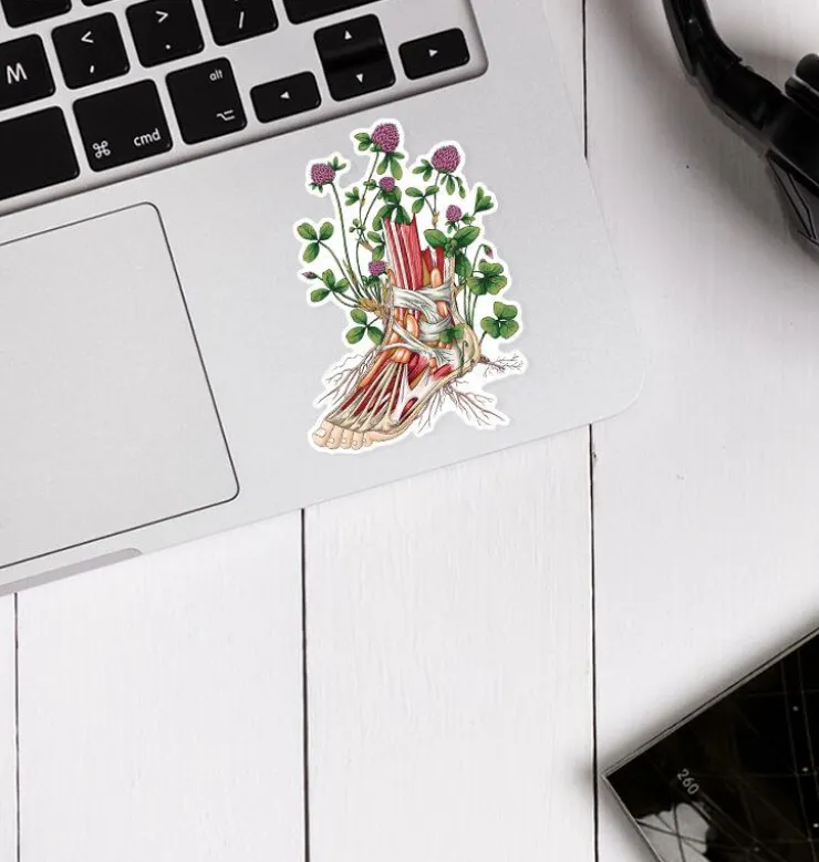 Sticker d'anatomie du pied II - Floral-Codex Anatomicus
