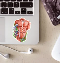 Sticker d'anatomie du torse masculin - Floral-Codex Anatomicus Discount