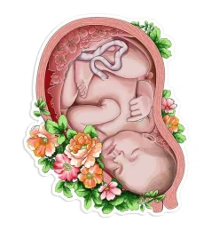 Sticker d'anatomie utérine - Floral-Codex Anatomicus Discount