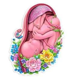 Sticker d'anatomie utérine - Floral-Codex Anatomicus Best