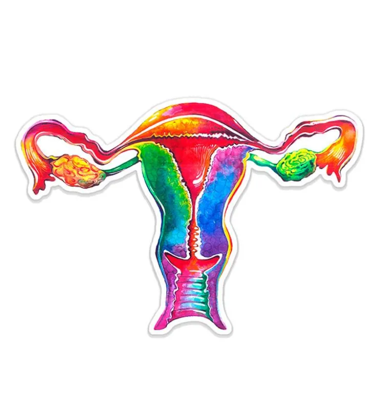 Sticker d'anatomie utérine - Aquarelle-Codex Anatomicus