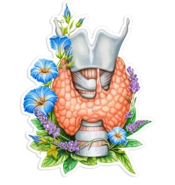 Sticker larynx, aorte, d'anatomie thyroïdienne - Floral-Codex Anatomicus Online