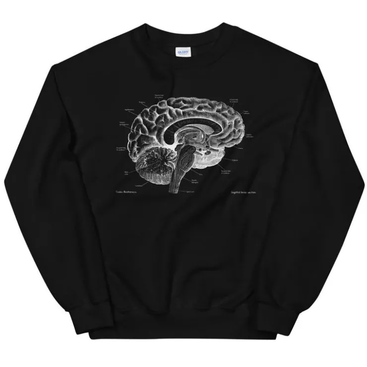 Sweat Unisexe Cerveau I - Chalkboard-Codex Anatomicus Sale