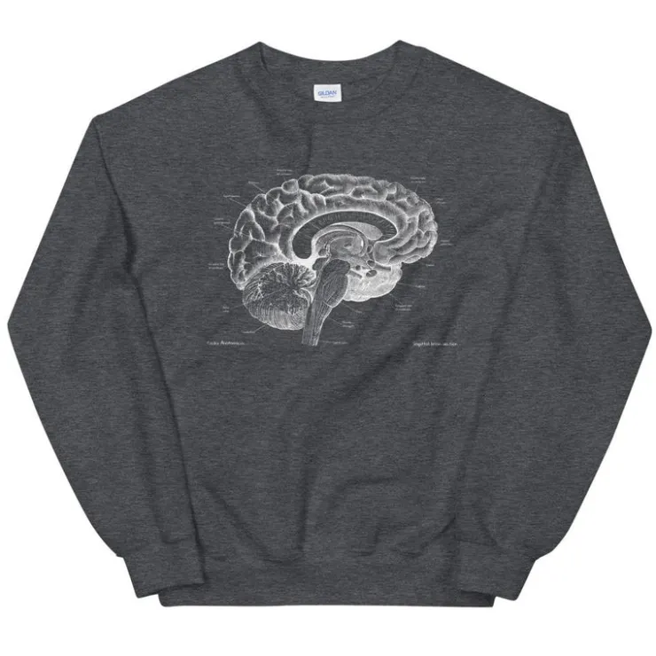 Sweat Unisexe Cerveau I - Chalkboard-Codex Anatomicus Sale