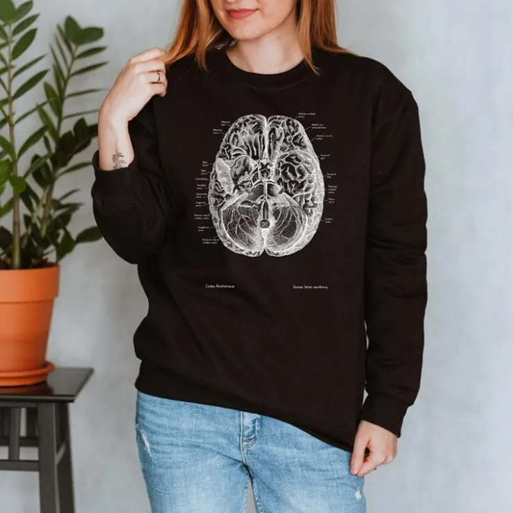 Sweat Unisexe Cerveau II - Chalkboard-Codex Anatomicus Discount