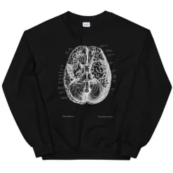 Sweat Unisexe Cerveau II - Chalkboard-Codex Anatomicus Discount