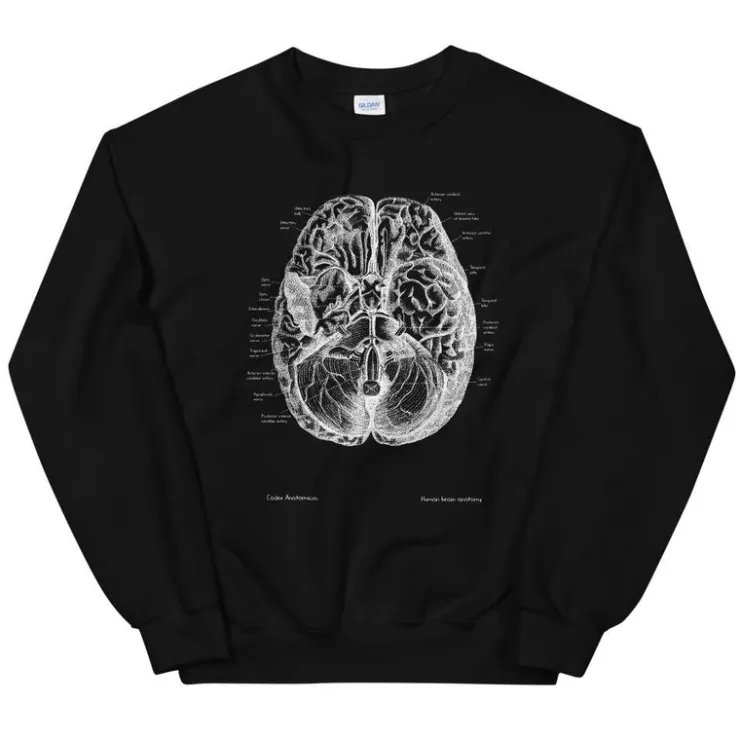 Sweat Unisexe Cerveau II - Chalkboard-Codex Anatomicus Discount