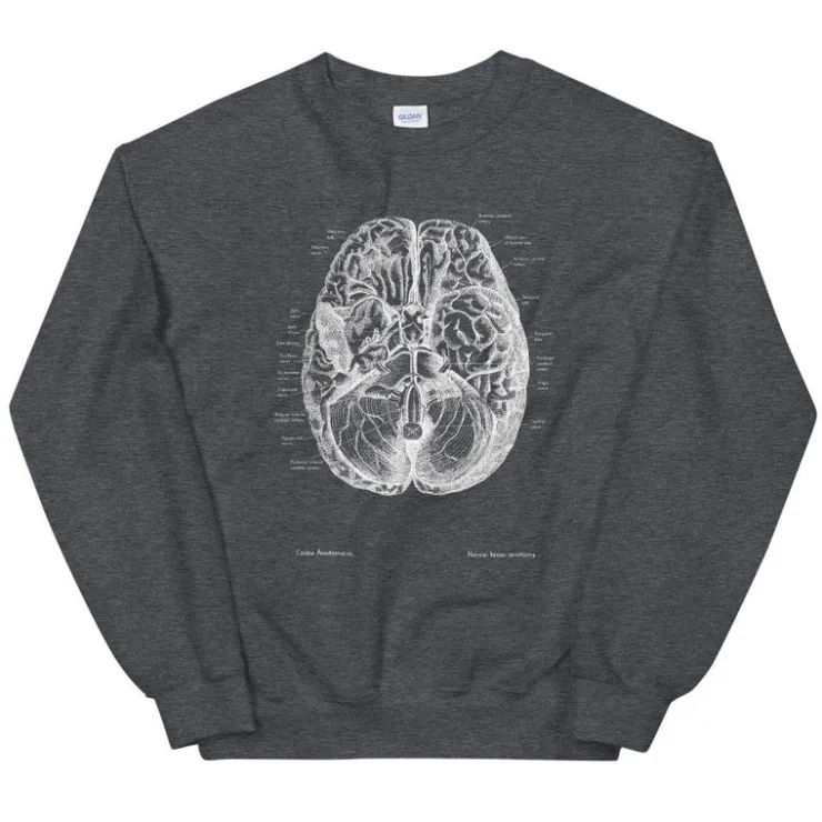 Sweat Unisexe Cerveau II - Chalkboard-Codex Anatomicus Discount