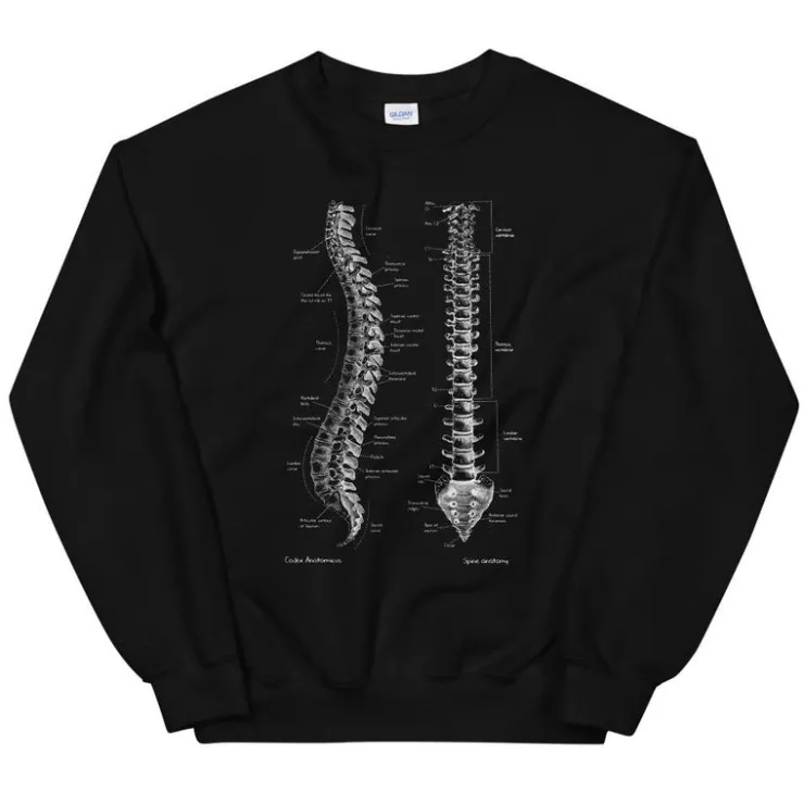 Sweat Unisexe Colonne Vertébrale - Chalkboard-Codex Anatomicus