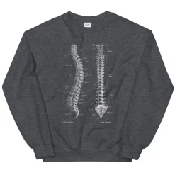 Sweat Unisexe Colonne Vertébrale - Chalkboard-Codex Anatomicus