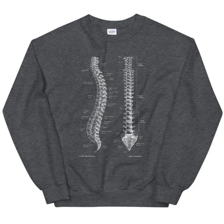 Sweat Unisexe Colonne Vertébrale - Chalkboard-Codex Anatomicus