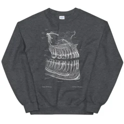 Sweat Unisexe Dentaire - Chalkboard-Codex Anatomicus Discount