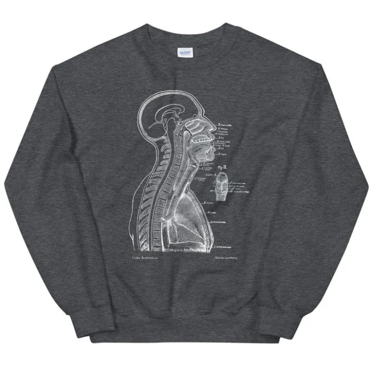 Sweat Unisexe Section de Tête II - Chalkboard-Codex Anatomicus