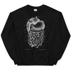 Sweat Unisexe Système Digestif - Chalkboard-Codex Anatomicus Hot