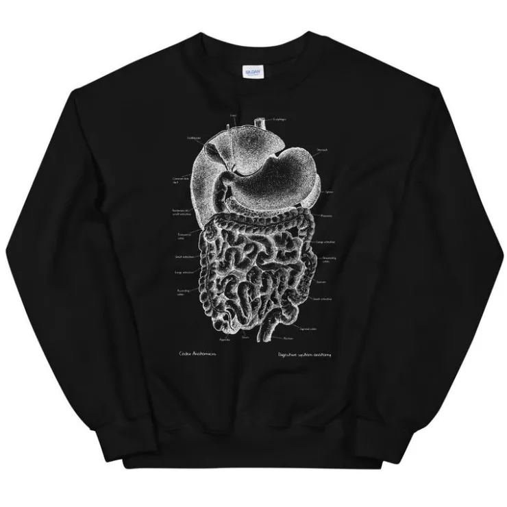 Sweat Unisexe Système Digestif - Chalkboard-Codex Anatomicus Hot