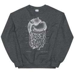 Sweat Unisexe Système Digestif - Chalkboard-Codex Anatomicus Hot